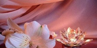 Toute l’équipe d’AshdodCafé vous souhaite «Shabbat Shalom» : date, horaires, paracha…