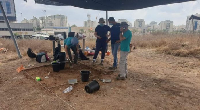 Fouilles d’Ashdod : à la recherche de découvertes archéologiques vieilles de plusieurs milliers d’années à Ma’ar