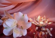 Toute l’équipe d’AshdodCafé vous souhaite «Shabbat Shalom» : date, horaires, paracha