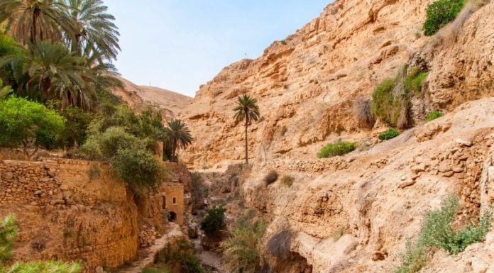 Top 5 des spots de randonnées en Israël