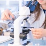 Les chercheurs de l’Université de Tel-Aviv dévoilent comment l’environnement parental affecte la transmission héréditaire