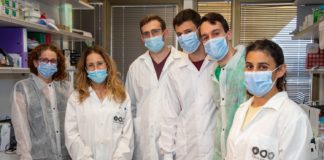 Vers un brevet mondial : des chercheurs de l’Université de Tel-Aviv ont développé un cocktail d’anticorps pouvant être utilisé comme médicament …