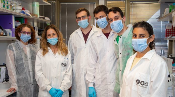 Vers un brevet mondial : des chercheurs de l’Université de Tel-Aviv ont développé un cocktail d’anticorps pouvant être utilisé comme médicament …