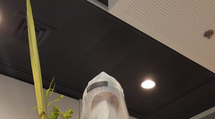 Corona : Nous fêtons la deuxième fête de Souccot à l’hôpital public Assuta Ashdod