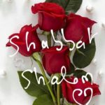 Toute l’équipe d’AshdodCafé vous souhaite «Shabbat Shalom» : date, horaires, paracha