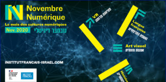 Novembre Numérique : Un mois pour célébrer les cultures numériques, à partir du 16 novembre 2020 TLV