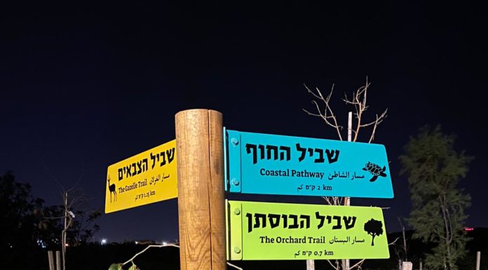 Ashdod activités jeunesse : Chut, ne dérangeons pas les cerfs !