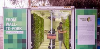 Une chaîne d’épicerie israélienne proposera des produits frais cultivés sur place dans de grands magasins