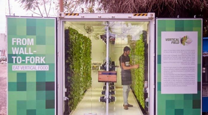 Une chaîne d’épicerie israélienne proposera des produits frais cultivés sur place dans de grands magasins