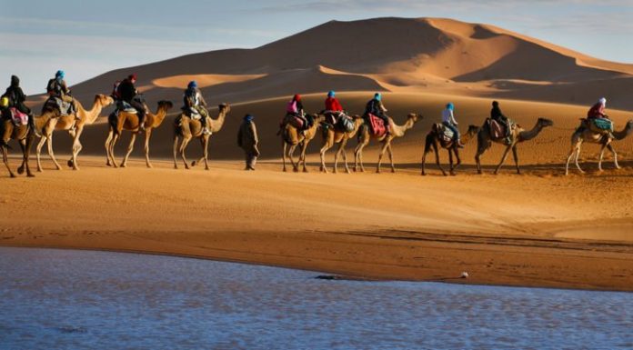 Voyager casher pour découvrir le monde vous propose «Le Maroc et ses merveilles», un circuit du 30/04 au 10/05/2023