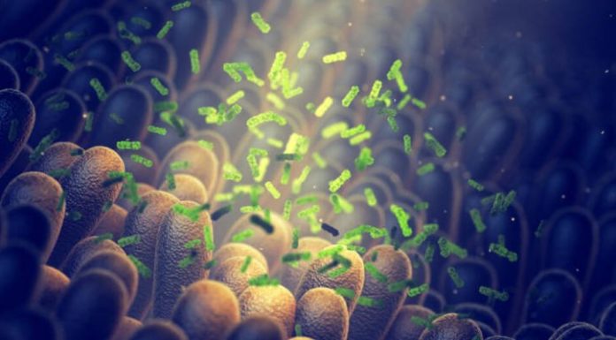 Les Israéliens combattent le cancer grâce à des greffes de microbiome révolutionnaires