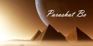 Toute l’équipe d’AshdodCafé vous souhaite «Shabbat Shalom» : date, horaires, paracha – Vidéo du Rav Avraham Dray