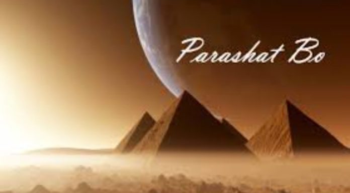 Toute l’équipe d’AshdodCafé vous souhaite «Shabbat Shalom» : date, horaires, paracha – Vidéo du Rav Avraham Dray