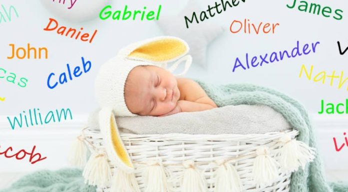 Torah vivante : qu’y a-t-il dans un nom ? Tout !