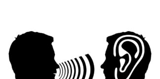 Santé : L’équipe TAU développe une nouvelle thérapie génique pour la surdité