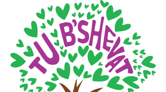 TOU BISHVAT : de quel arbre s’agit-il ? par Caroline Elishéva REBOUH