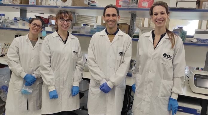 Une étude de l’Université de Tel-Aviv révèle le talon d’Achille des cellules cancéreuses