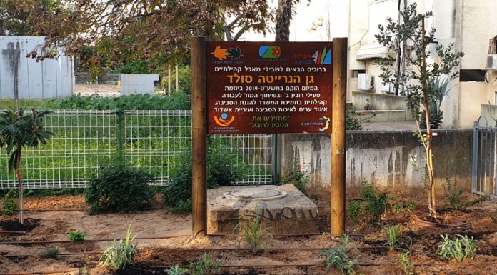 Ashdod : une nouvelle initiative dans le quartier Beit avec la création d’un « sentier comestible »