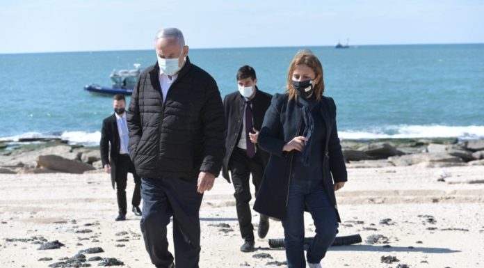 Après le déversement d’hydrocarbures en Méditerranée, le ministère de la Santé déclare que le poisson est de nouveau consommable