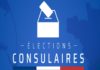 ÉLECTIONS CONSULAIRES 2021 : Un conseiller des Français de l’Étranger, pour quoi faire? quand voter et comment ?