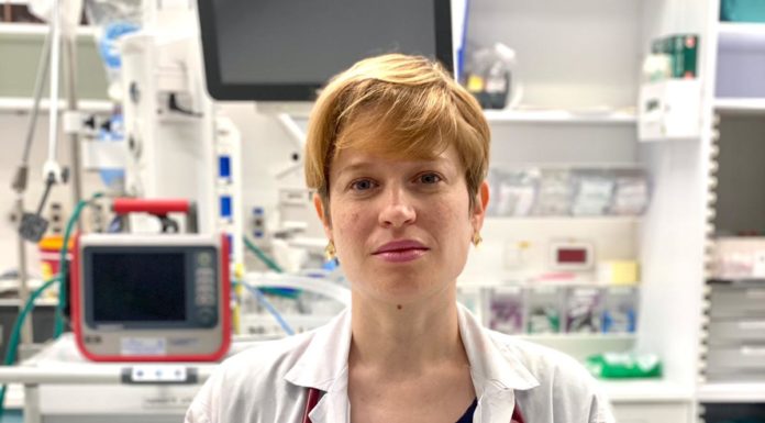 Coup de chaleur et déshydratation : recommandations du Dr. Karina Glick de l’hôpital public d’Assuta Ashdod