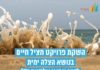 Ce dimanche une projection vidéo sur le sauvetage en mer à la mémoire de Yochai Elkaïm à la forteresse d’Ashdod-Yam