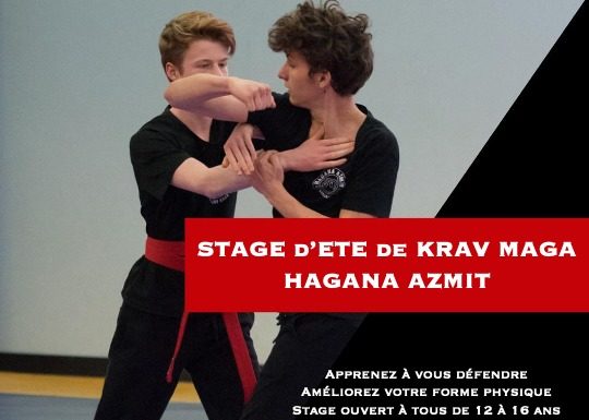 Krav Maga : Simplicité, Rapidité et Efficacité ! Stages d’entrainement pour ados dès le 8 Août prochain …