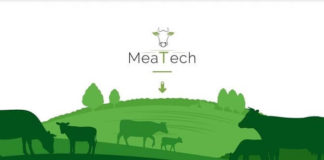 Israël sera-t-il un jour l’un des principaux exportateurs de porc cultivé en laboratoire ? Et sera-t-il casher ?