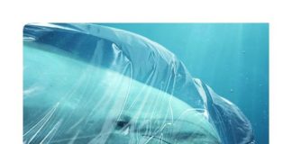 Ashdod : Ma plage est ″réutilisable″ – le plastique sous toutes ses formes est dans le collimateur de la Mairie