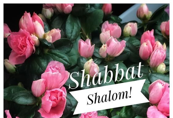 Toute l’équipe d’AshdodCafé vous souhaite «Shabbat Shalom» : date, horaires, paracha – Vidéo du Rav Avraham Dray
