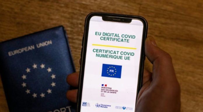 Pass vaccinal, une solution pour les Français vaccinés hors UE
