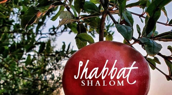 Toute l’équipe d’AshdodCafé vous souhaite «Shabbat Shalom» : date, horaires, paracha– Vidéo du Rav Avraham Dray