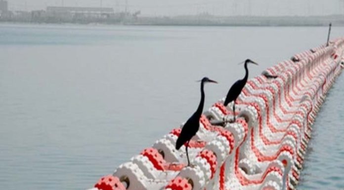 Ashdod : La question sur les »brises lames » mise à l’ordre du jour du conseil municipal a été annulée