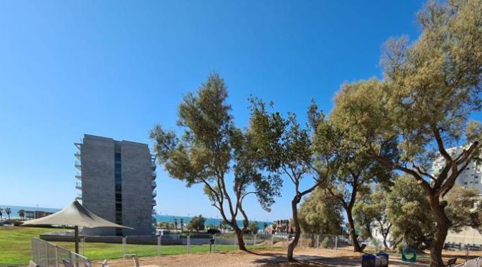 Municipalité d’Ashdod : les parcs à chiens de la ville seront modernisés