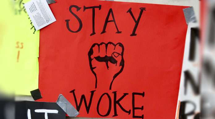 WOKE CULTURE – Rony Akrich (1ere Partie)