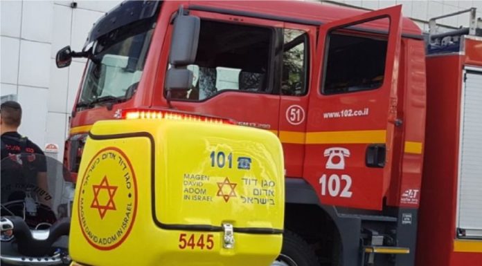 Incendies : le niveau d’alerte a été relevé en raison des conditions météorologiques extrêmes attendues samedi