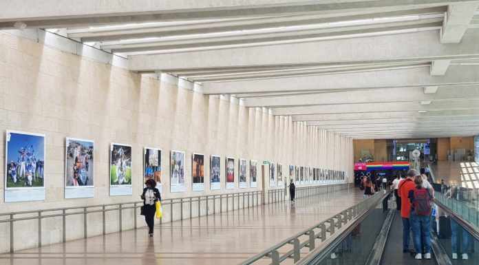 Les Israéliens reprennent goût aux voyages : 3,7 millions de passagers passeront par Ben Gourion cet été