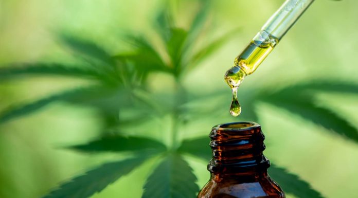 A compter du 1er avril 2022, l’autoconsommation de cannabis ne sera plus considérée comme une infraction criminelle