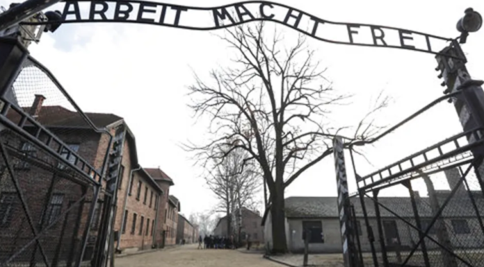 27 janvier : Journée internationale à la mémoire des victimes de la Shoah