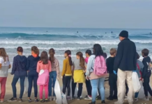 Une étude israélienne révèle que 68 % des enfants interrogés peuvent raisonner comme des scientifiques