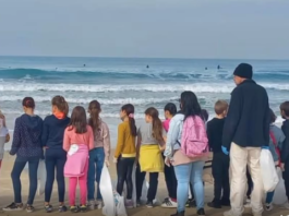 Une étude israélienne révèle que 68 % des enfants interrogés peuvent raisonner comme des scientifiques
