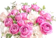 Toute l’équipe d’AshdodCafé vous souhaite «Shabbat Shalom» : date, horaires, paracha– Vidéo du Rav Avraham Dray