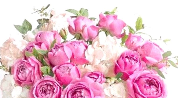 Toute l’équipe d’AshdodCafé vous souhaite «Shabbat Shalom» : date, horaires, paracha – Vidéo du Rav Avraham Dray