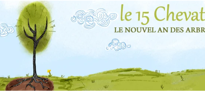 Le véritable sens Halachique de la fête de Tou Bichvat