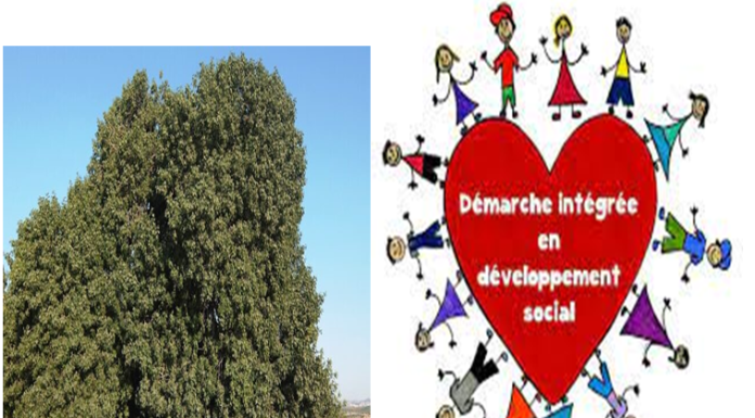 Environnement : Parce que l’être humain n’est qu’un arbre des champs ! par Ezra Banoun