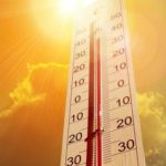 La hausse des températures pourrait accélérer le rythme de l’évolution, d’après une étude de l’Université de Tel-Aviv