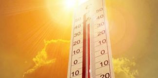 La hausse des températures pourrait accélérer le rythme de l’évolution, d’après une étude de l’Université de Tel-Aviv