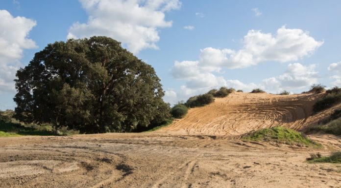 Ashdod : visites organisées pour experimenter et decouvrir la nature locale dès le 18 Mars!