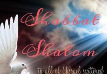 Toute l’équipe d’AshdodCafé vous souhaite «Shabbat Shalom» : date, horaires, paracha– Vidéo du Rav Avraham Dray