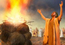 Les sacrifiés par Rony Akrich